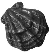 Камни для бани - чугун. овальный "Ракушка малая" 97*79*42 (1,04 кг)